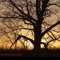 MzDominica - File Descriptions/MzDominica - File Descriptions/XTC 6 Boot Flash.jpg